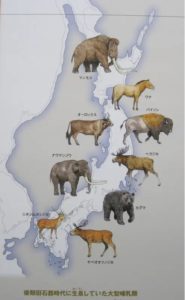 縄文時代までに日本列島に生息していた大型動物